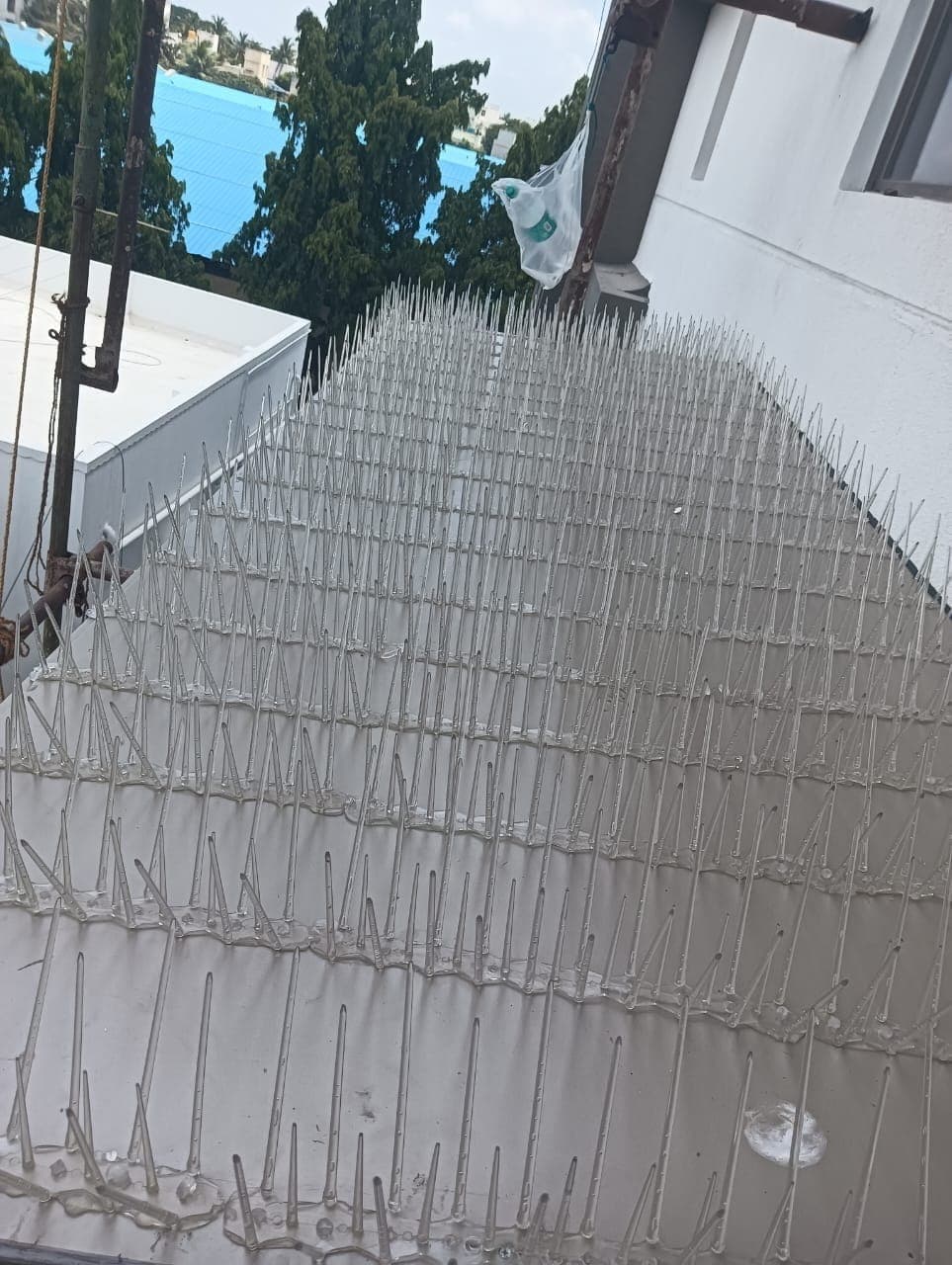Sky Shield Safety Nets & Invisible Grills Anti-Bird Spikes Chennai