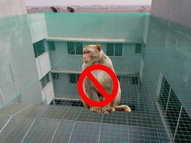 Sky Shield Safety Nets & Invisible Grills Monkey Safety Nets Chennai