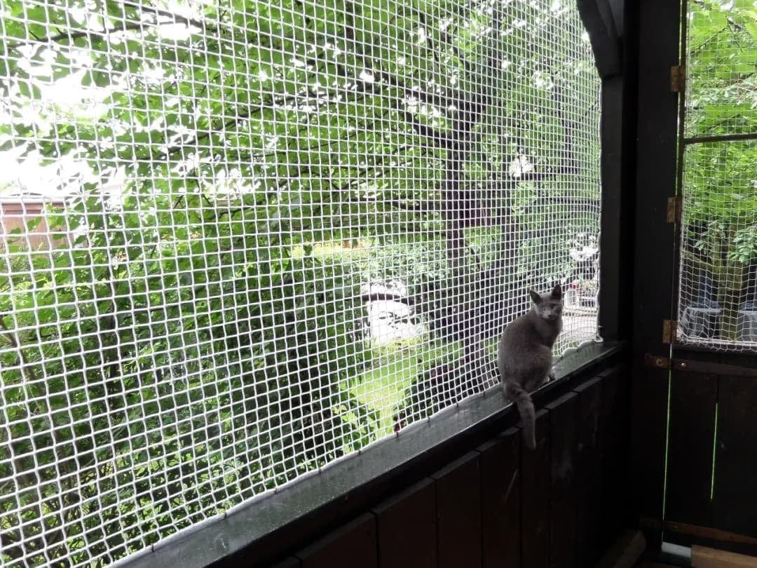 Sky Shield Safety Nets & Invisible Grills Pet Safety Nets Chennai