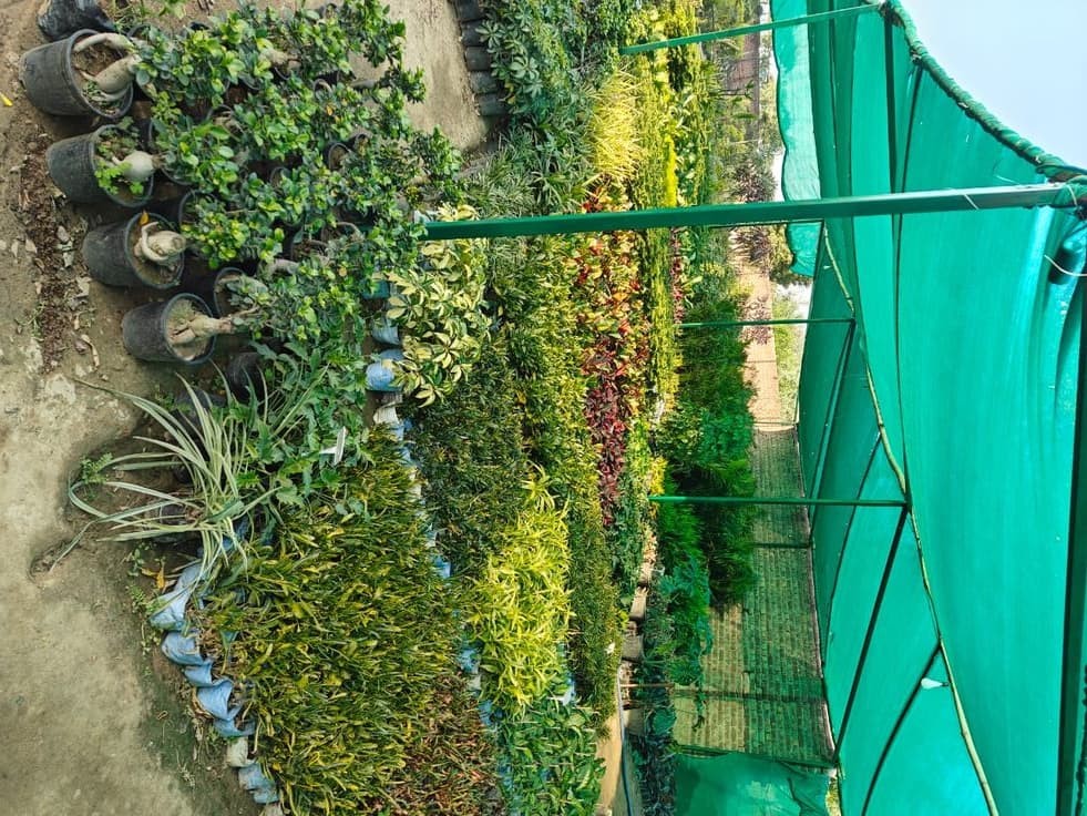 Sky Shield Safety Nets & Invisible Grills Shade Nets & Sun Protection Chennai