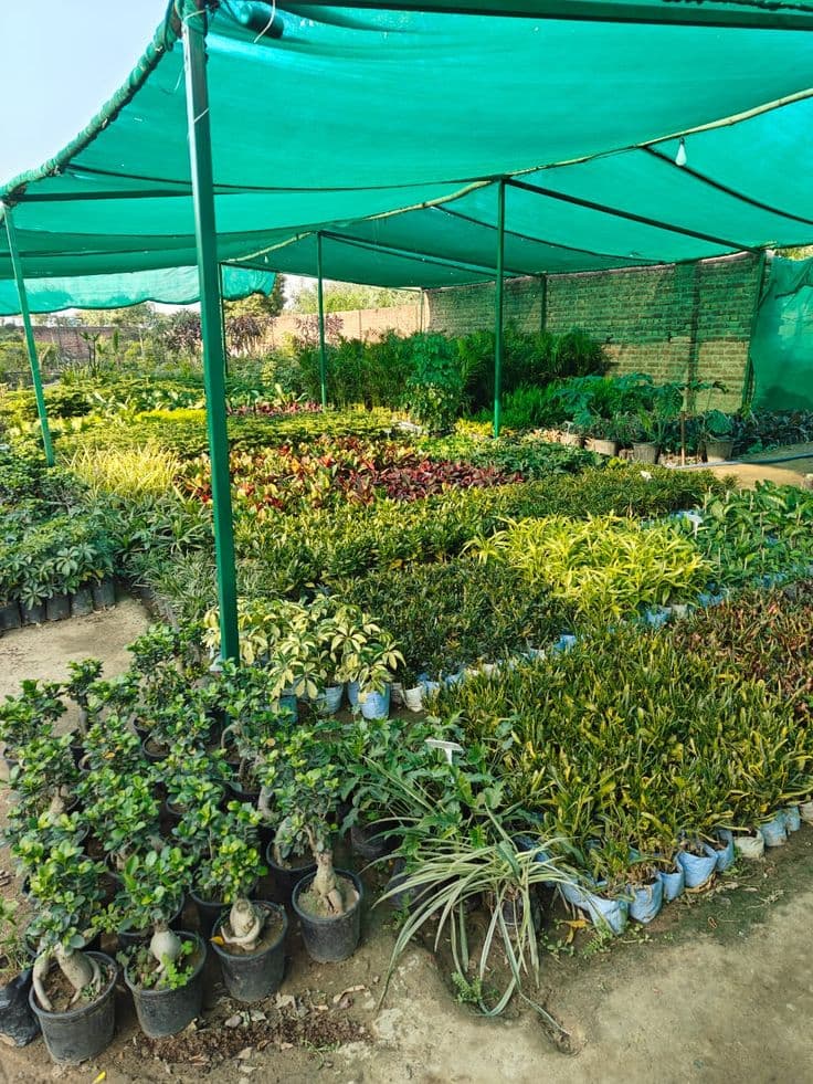 Sky Shield Safety Nets & Invisible Grills Shade Nets & Sun Protection Chennai